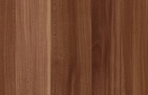 Кромка Слива Валлис 031 SE KR 19/2,0 (100м/5 шт) (2019)